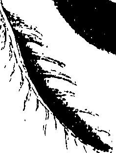 071/071680030000420_1.png