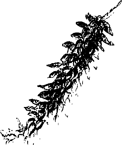 071/071680030000420_2.png