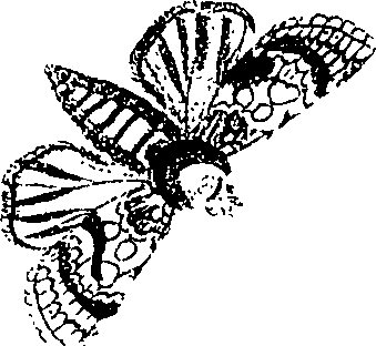 071/071680030000450_1.png