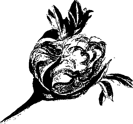 071/071680030000450_2.png