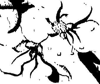 071/071680030000470_0.png