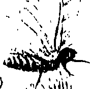 071/071680030000470_1.png