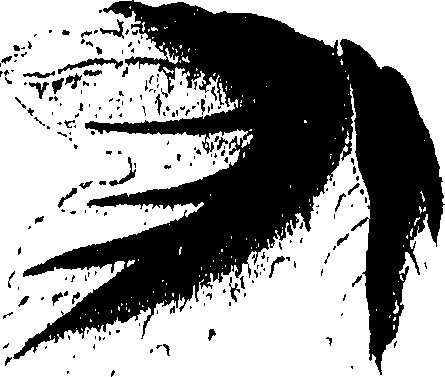 071/071680030000480_1.png