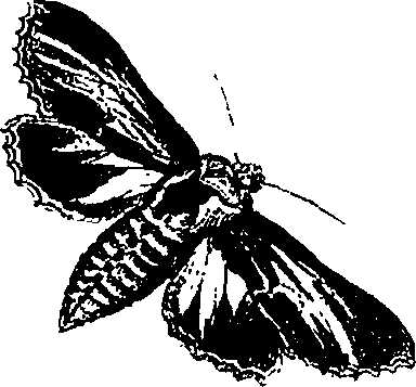 071/071680030000490_0.png