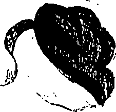 071/071680030000500_1.png