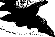 071/071680030000530_0.png