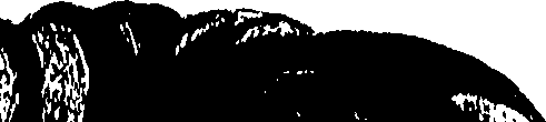071/071680030000560_0.png