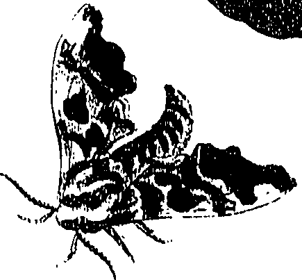 071/071680030000610_0.png