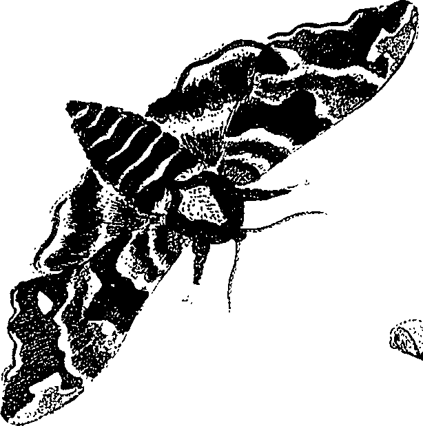 071/071680030000610_1.png