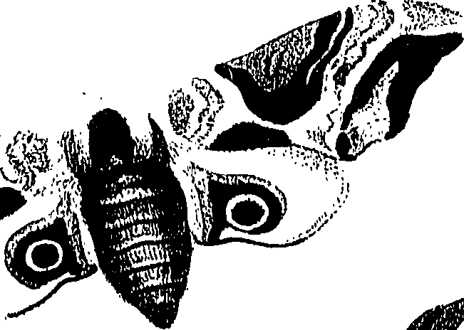 071/071680030000620_0.png