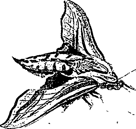 071/071680030000630_0.png