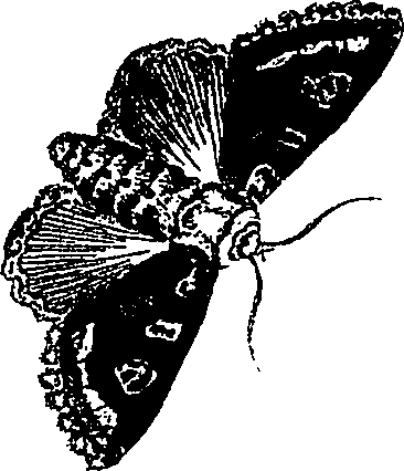 071/071680030000670_0.png