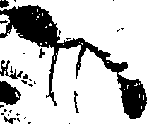 071/071680030000690_0.png