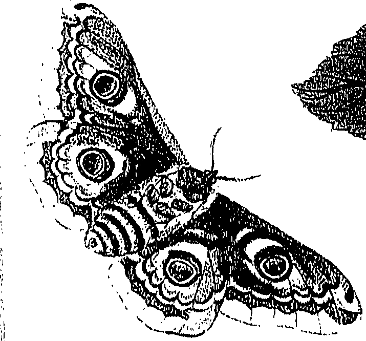 071/071680030000770_0.png