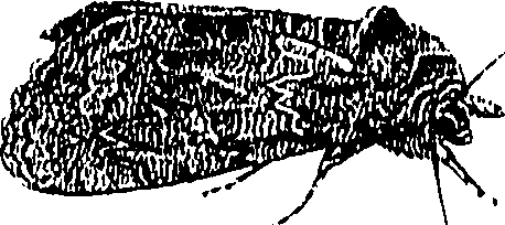 071/071680030000780_0.png