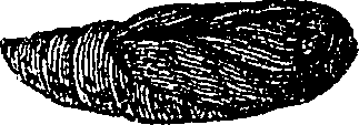 071/071680030000780_1.png