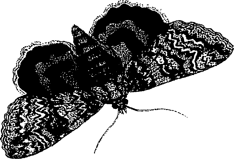 071/071680030000780_2.png