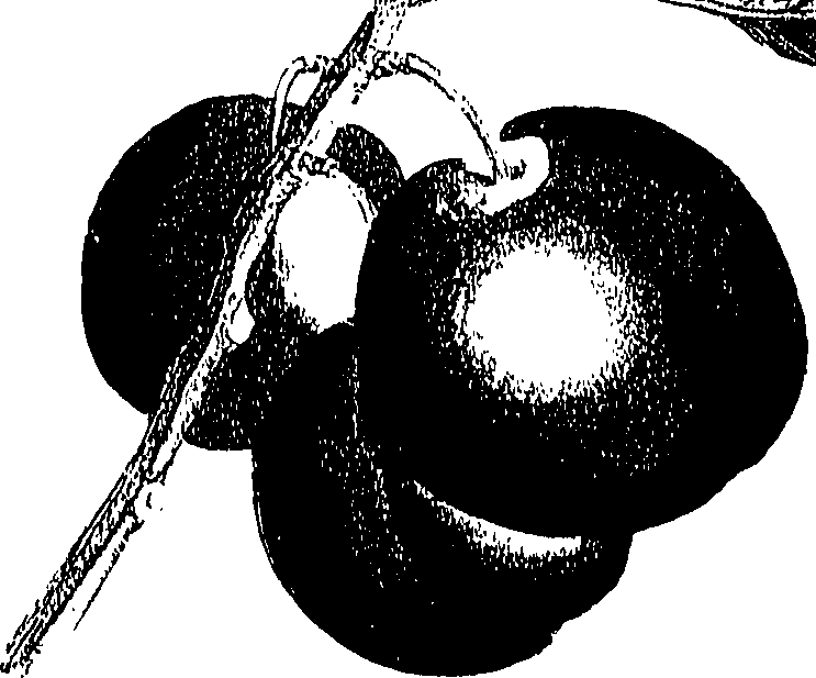 071/071680030000820_0.png