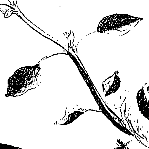 071/071680030000830_0.png