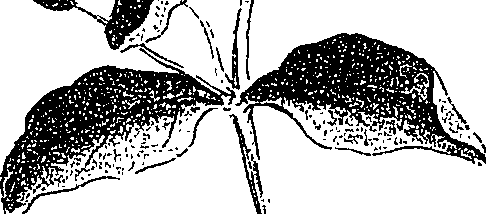 071/071680030000830_1.png