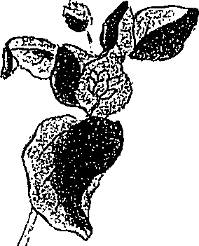 071/071680030000830_2.png