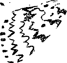 071/071680030000840_0.png