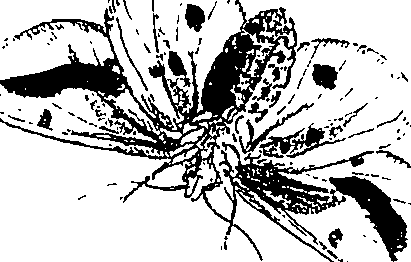 071/071680030000890_0.png