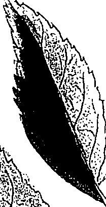 071/071680030000900_0.png