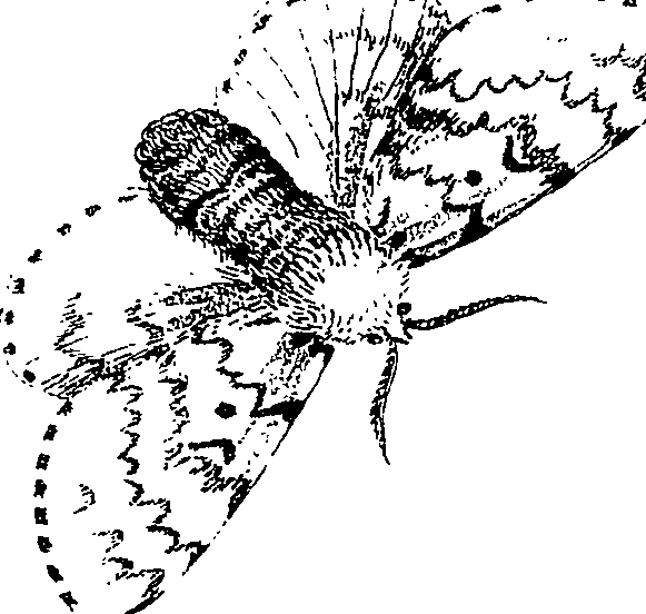 071/071680030000900_1.png