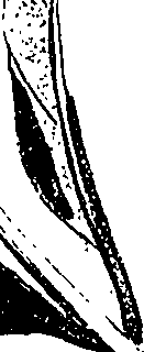 071/071680030000920_1.png