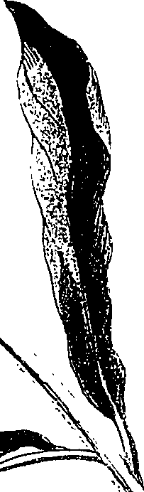 071/071680030000920_2.png