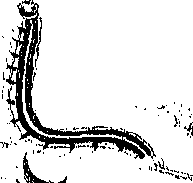 071/071680030000950_0.png