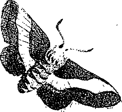 071/071680030000950_1.png