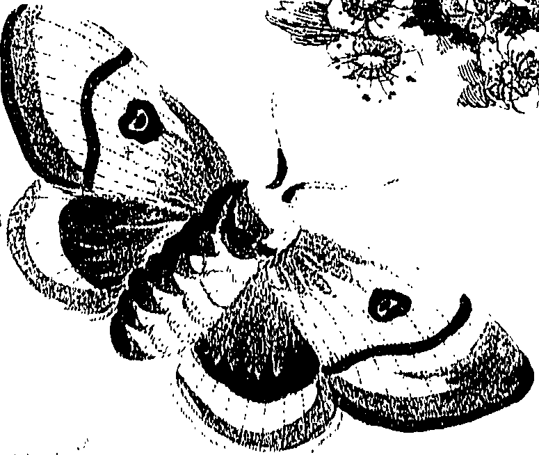 071/071680030000960_0.png
