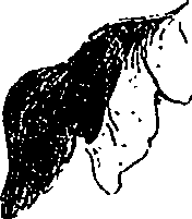 071/071680030000960_1.png