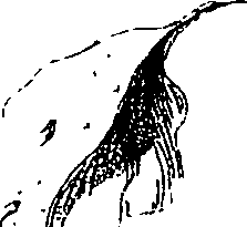 071/071680030000960_2.png