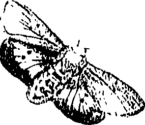 071/071680030000970_0.png