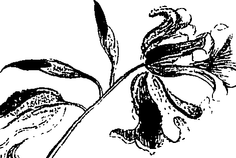 071/071680030000970_2.png