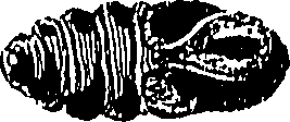 071/071680030000990_0.png