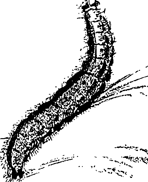 071/071680030000990_1.png