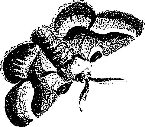 071/071680030000990_2.png
