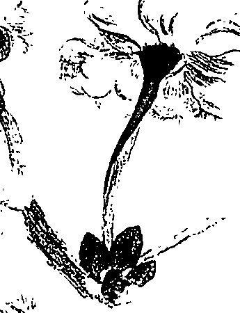 071/071680030000990_3.png