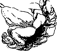 071/071680030001020_0.png
