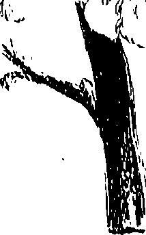 071/071680030001030_0.png