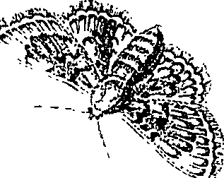 071/071680030001030_1.png