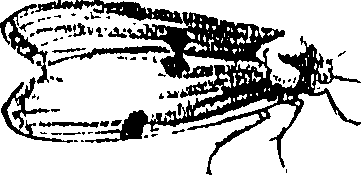 071/071680030001040_0.png