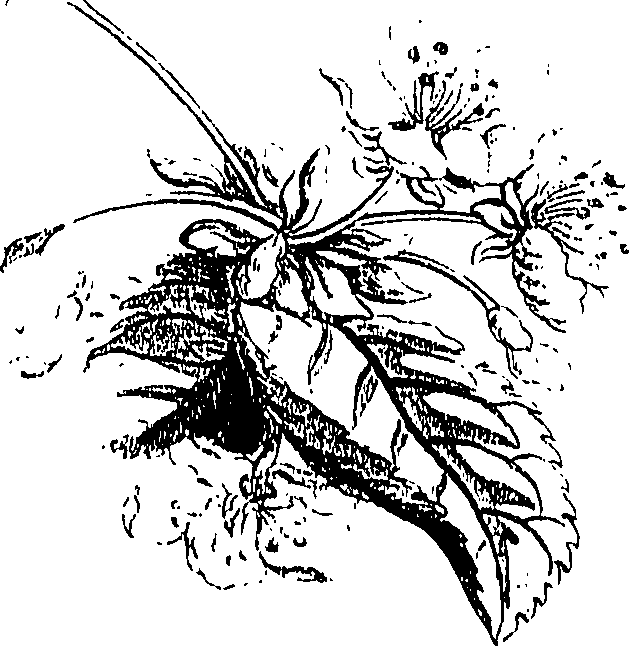 071/071680030001040_1.png