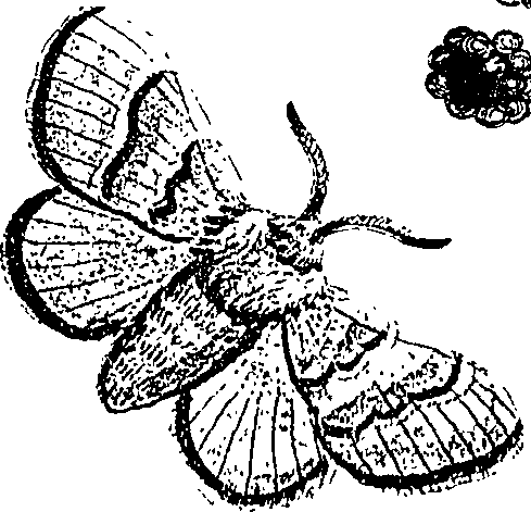 071/071680030001050_0.png
