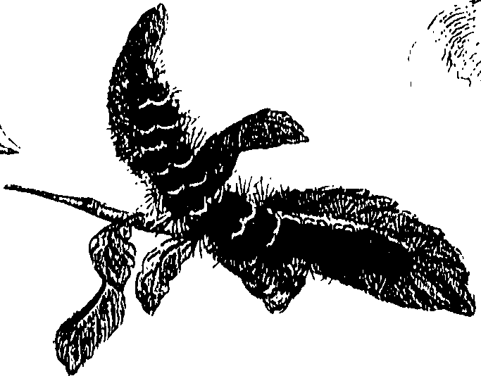 071/071680030001060_0.png