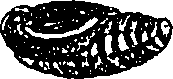 071/071680030001060_1.png